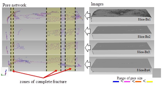 Figure 3.2 X-ray CT Image and pore network of each slices of a fractured specimen in Z-direction